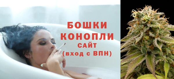 молекула духа Каменка