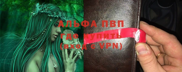 молекула духа Каменка